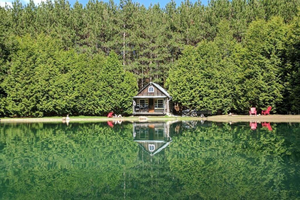 A Rustic Cabin In The Woods オレンジビル エクステリア 写真