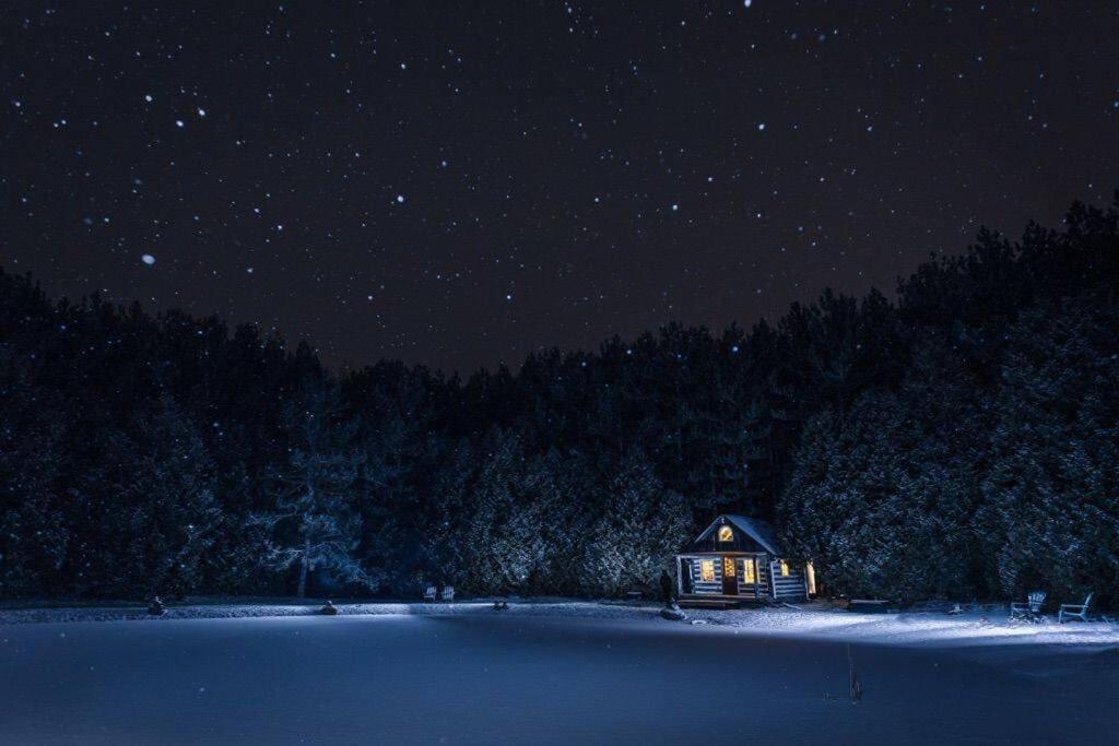 A Rustic Cabin In The Woods オレンジビル エクステリア 写真
