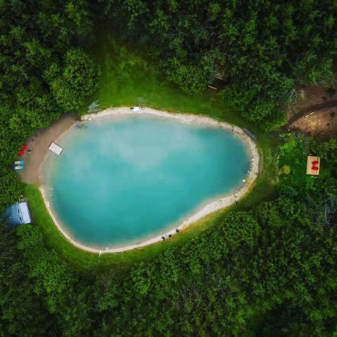 A Rustic Cabin In The Woods オレンジビル エクステリア 写真